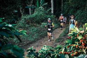 BIB: 
                            <button type="button" onclick="openModal(25805930)" class="btn btn-primary btn-sm float-right btn-popup" data-toggle="modal" data-target=".modal-high-quality">
                        <i class="fas fa-shopping-cart"></i> Add to Cart
                    </button>
                                            <button type="button" onclick="isThisMe(25805930, true)" class="btn btn-success btn-sm float-right btn-popup btn-isme hidden" data-toggle="tooltip" data-placement="bottom" title="นี่คือรูปของคุณใช่ไหม คลิกที่นี่เพื่อเอาเข้าอัลบั้ม">
                        <i class="fas fa-plus"></i> Add to album
                    </button>
                    <button type="button" onclick="isThisMe(25805930, false)" class="btn btn-warning btn-sm float-right btn-popup btn-isnotme hidden">
                        <i class="fas fa-ban"></i> Remove from album
                    </button>